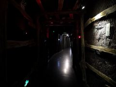 -陕西自然博物馆