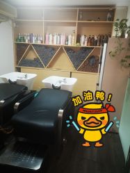 -AFA Hair studio·女士发型设计