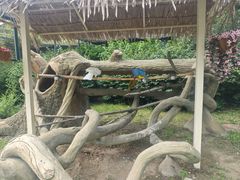-齐齐哈尔龙沙动植物园
