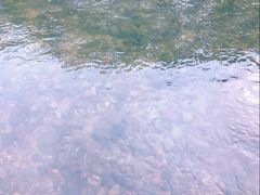 -楠溪江风景名胜区