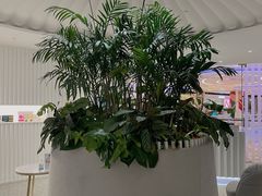-LANN I 蘭 SPA(陆家嘴中心店)