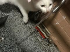 -宠颐生嘉德动物医院