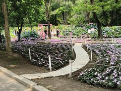 -沈阳植物园
