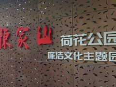 -陈家山荷花公园