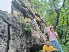 -王顺山国家森林公园