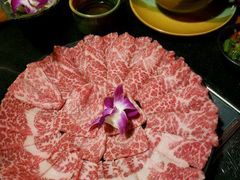 -养心殿台式养生锅(铜锣湾店)
