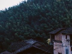 -杨家堂村