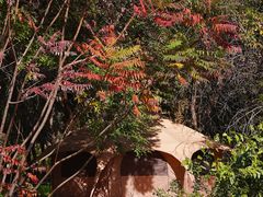 -奥林匹克森林公园北园-停车场