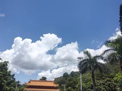 -深圳仙湖植物园