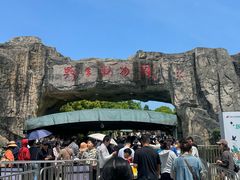 -合肥野生动物园