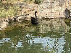 -春风习习