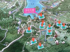 -深圳仙湖植物园