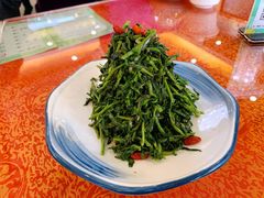 清香枸杞苗-国强手抓(北京西路店)