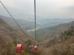 -王顺山国家森林公园