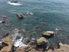 -广东惠东海龟国家级自然保护区