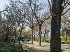 -太子园林酒家