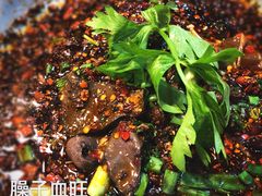 家常绍子鸭血-百年粉蒸牛肉
