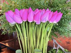 -新荣记(新源南路店)