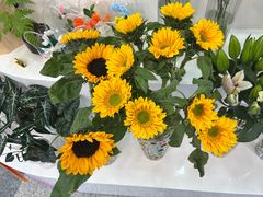 -摩登百货(岗顶店)