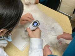 -安安宠医·安宠宠物医院