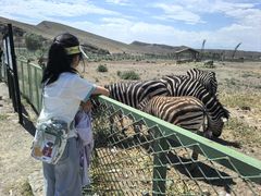 -新疆天山野生动物园