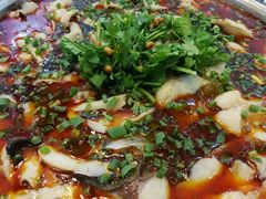 -重庆火锅水库鱼庄(南油店)