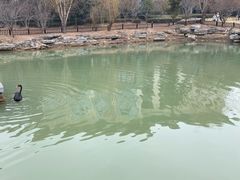 -云龙湖旅游景区