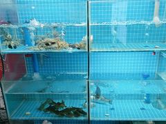 -挂旗柴锅鸡(蚌山区嘉年华店)