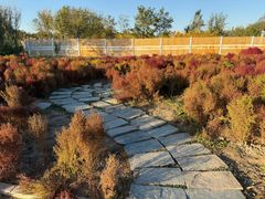 -天津东丽湖风景区