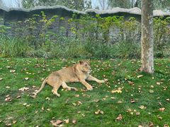 -北京野生动物园