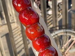 冰糖葫芦-和禄德冰糖葫芦