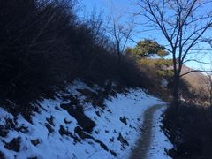 -阳台山自然风景区