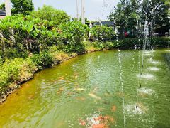 -花溪雨·森林餐厅(石基店)