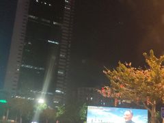 -荔枝公园-小平画像广场