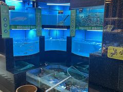 -千岛湖小鱼儿·淳安匠心农家菜