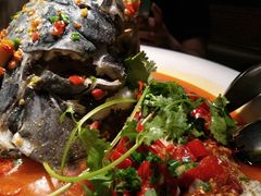 -坛宗剁椒鱼头(河西王府井店)