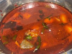 -晓彭肥肠鸡·泡椒鸡火锅(水木天地店)