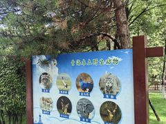 -青藏高原野生动物园