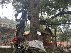 -缥缈峰景区