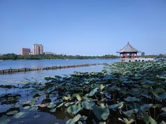 -济南大明湖景区