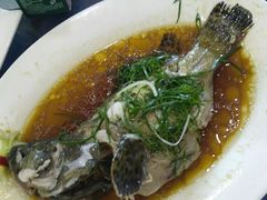 -碧桂园总部(碧江大桥店)