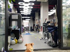 -VPsmart私教健身工作室(新华路旗舰店)