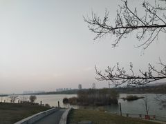 -灞河西岸滨河公园