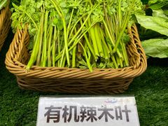 -欢乐海岸美食联盟