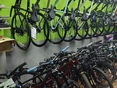 -道路口单车爱瓦士dahon大行