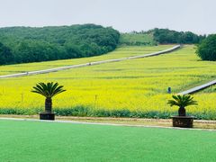 -水云涧温泉滑雪度假区