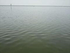 -碧海金沙