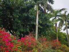 -白鹭洲公园