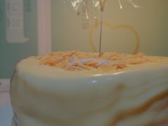-维尔纳斯·生日蛋糕·动物奶油冰淇淋蛋糕(雨花店)