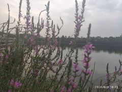 -美兰湖景区